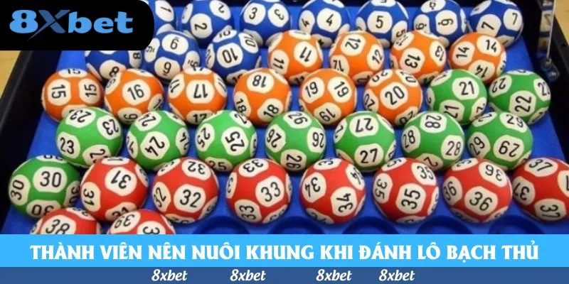 Thành viên nên nuôi khung khi đánh lô bạch thủ